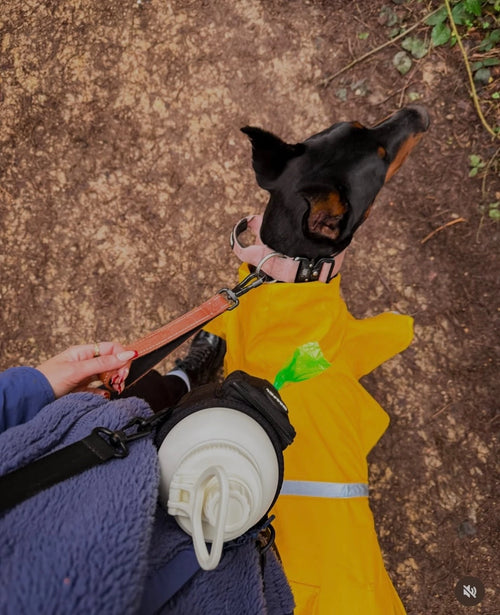 3 in 1 Wagpal water bottle dog portable