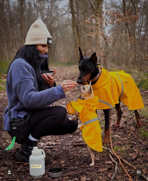 3 in 1 Wagpal water bottle dog portable
