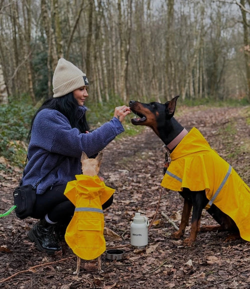 3 in 1 Wagpal water bottle dog portable