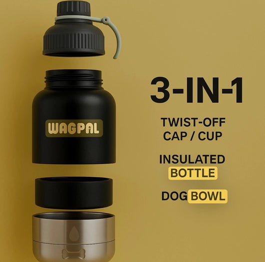 3 in 1 Wagpal water bottle dog portable